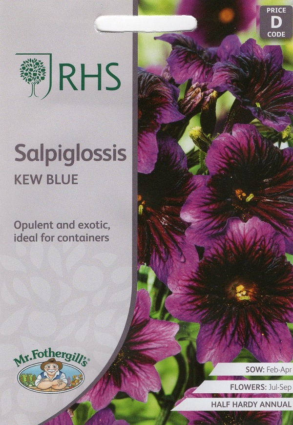 サルピグロッシス キュー・ブルー