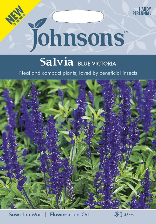 サルビア ブルー・ビクトリア