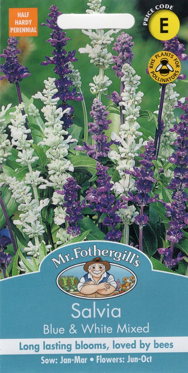 【輸入種子】 Mr.Fothergill's Seeds Salvia Blue & White Mixed サルビア ブルー＆ホワイト・ミックス ミスター・フォザーギルズシード