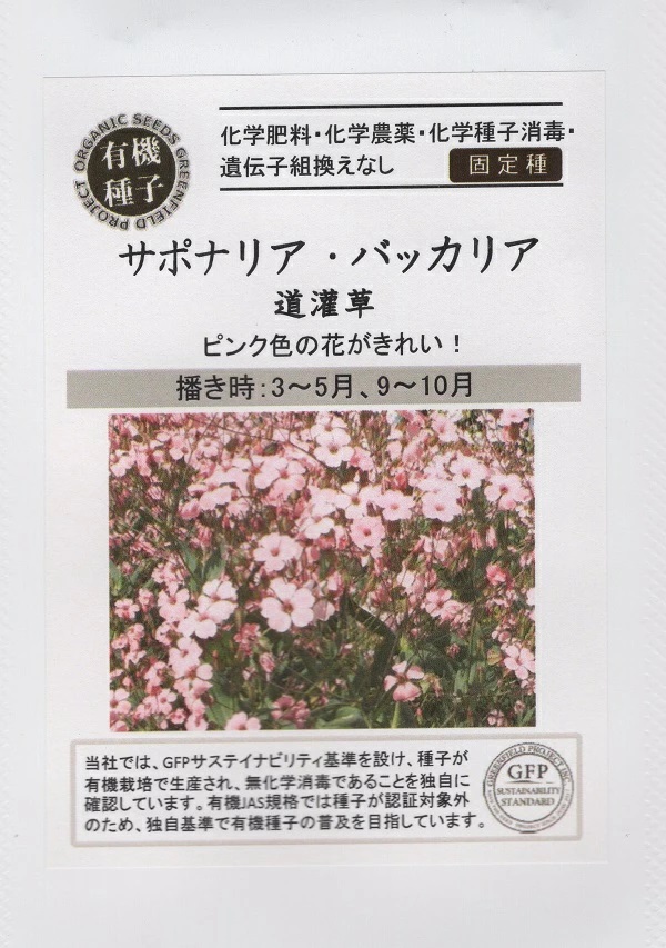 サポナリア・バッカリア