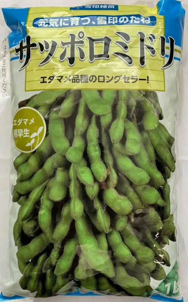 エダマメ　サッポロミドリ