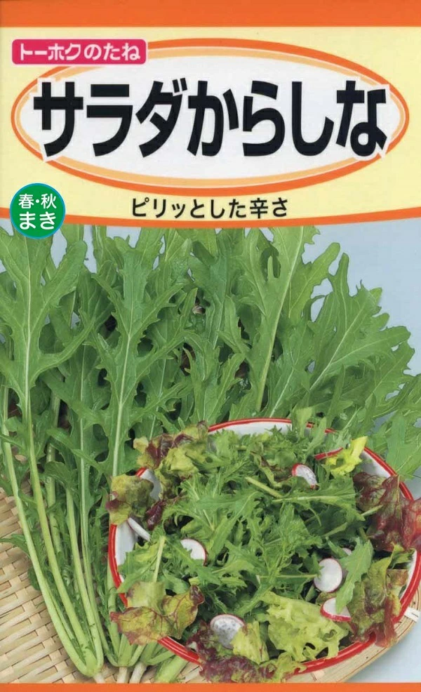 サラダからしな