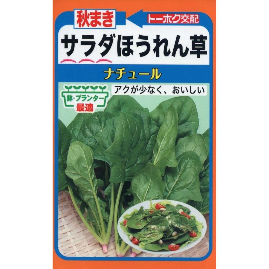 サラダほうれん草ナチュール