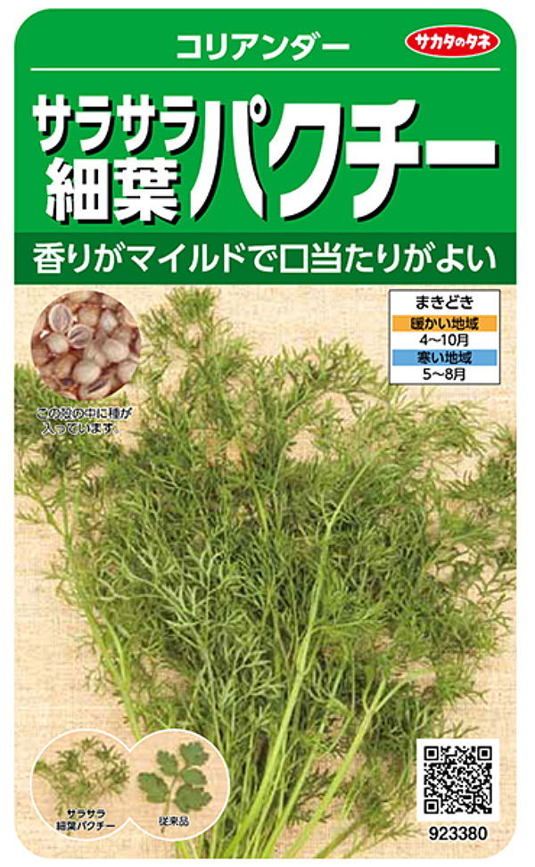 サラサラ細葉パクチー(コリアンダー)