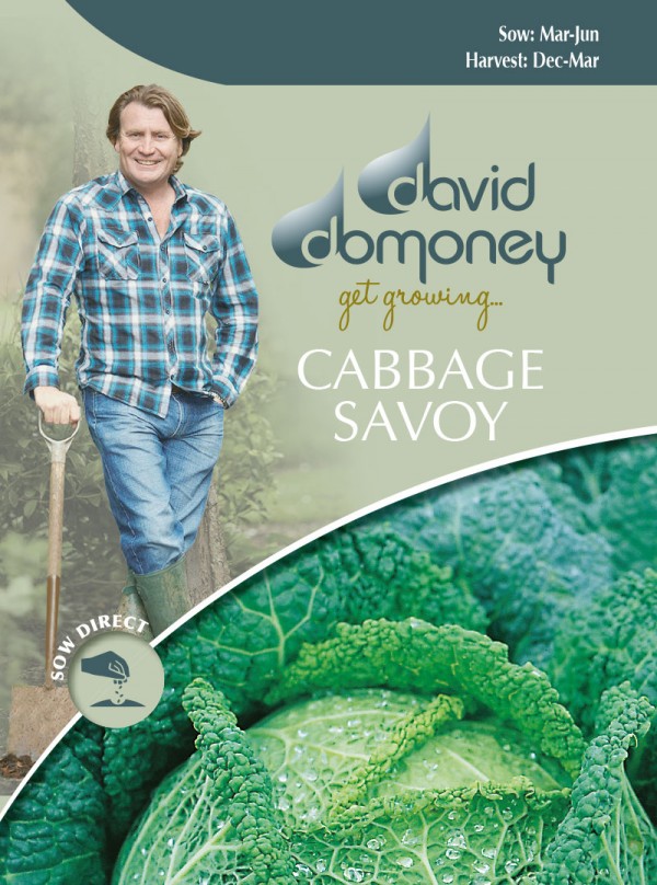 キャベツ (サヴォイ) オームズカーク