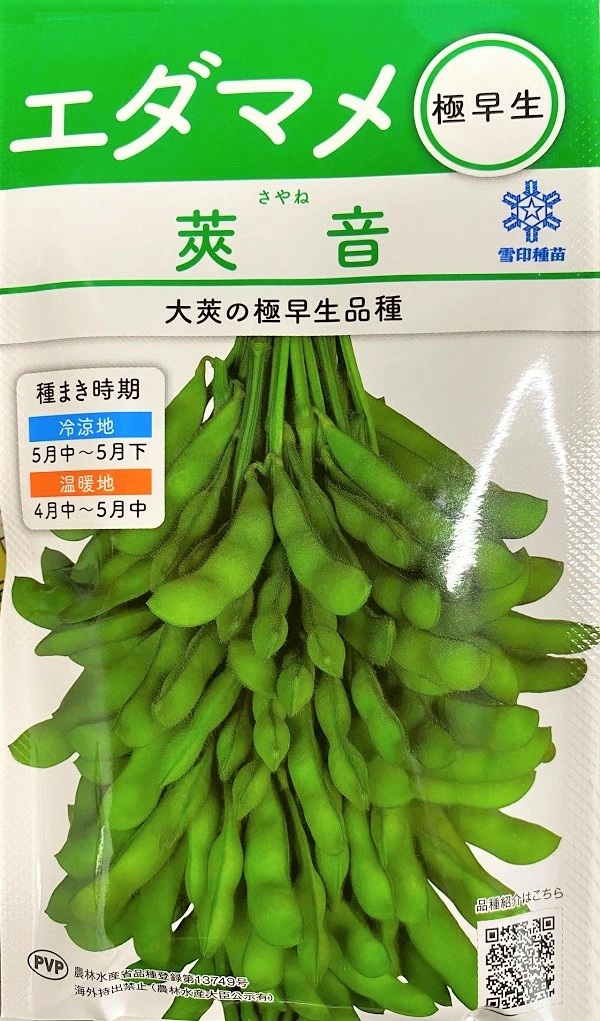 エダマメ　莢音３０ml