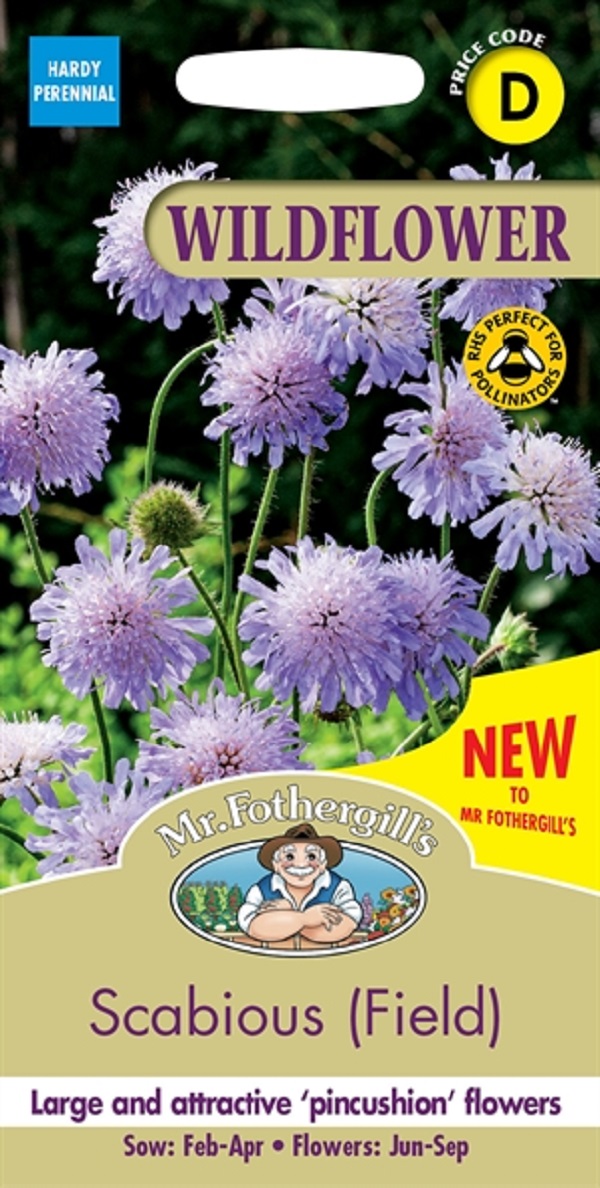 ワイルドフラワー スカビオサ(フィールド)