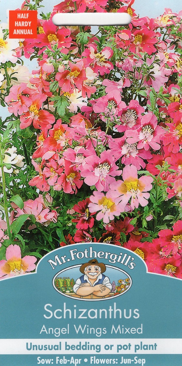 Schizanthus Angel Wings Mixed シザンサス エンジェル・ウィングス・ミックス