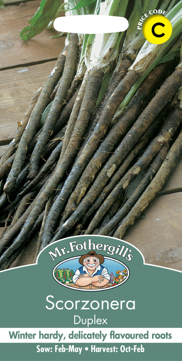 スコルツォネラ デュプレックス