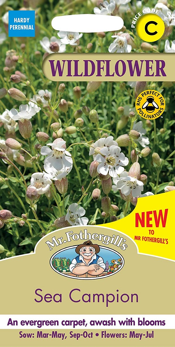 【輸入種子】 Mr.Fothergill's Seeds WILDFLOWER Sea Campion ワイルドフラワー シーキャンピオン ミスター・フォザーギルズシード