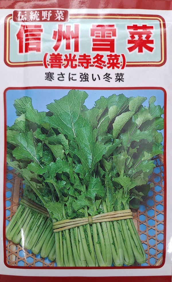 信州雪菜