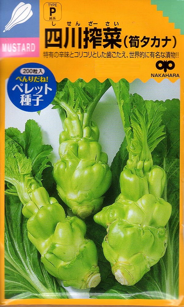 四川搾菜（筍タカナ）