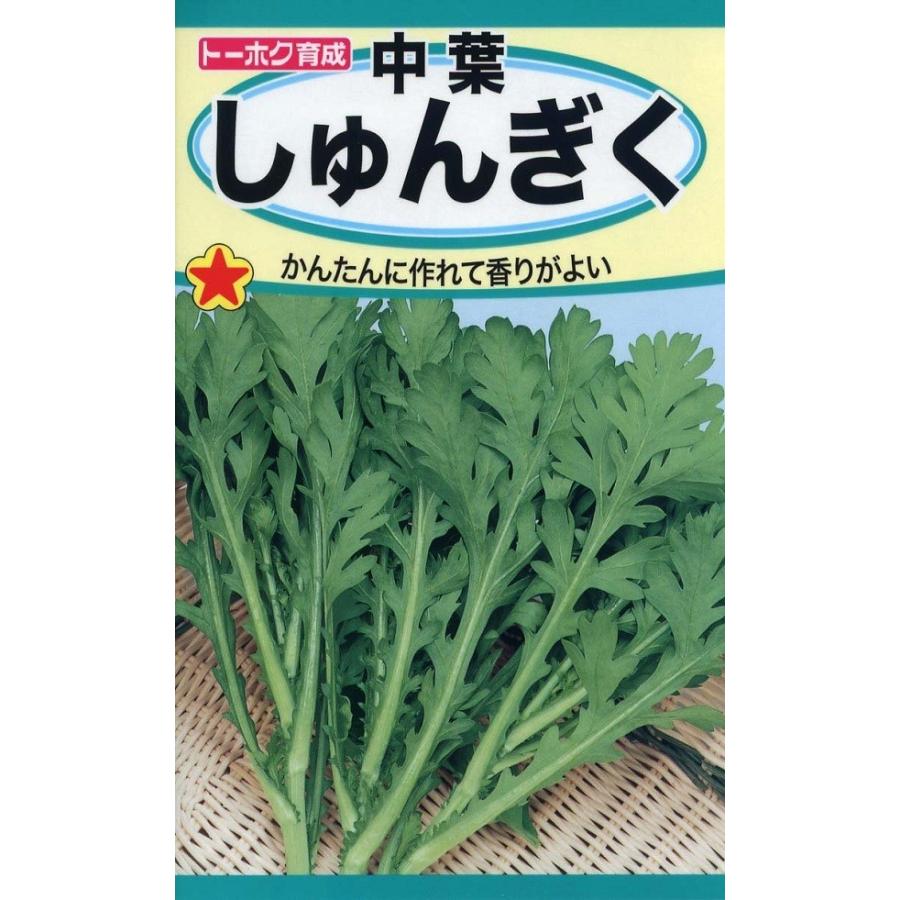 トーホク中葉春菊