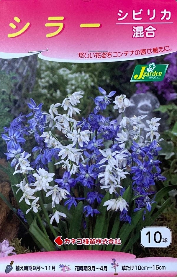 シラーシビリカ混合