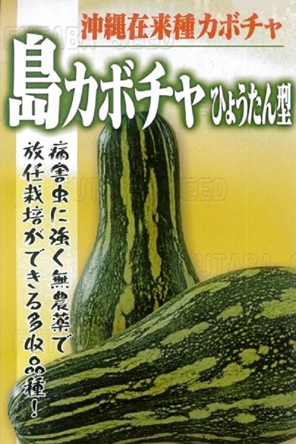沖縄在来種カボチャ 島カボチャ ひょうたん型