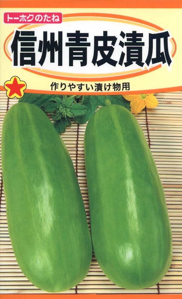 信州青皮漬瓜