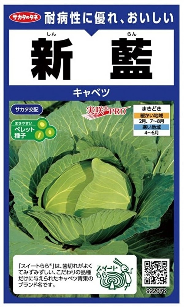 キャベツ　新藍