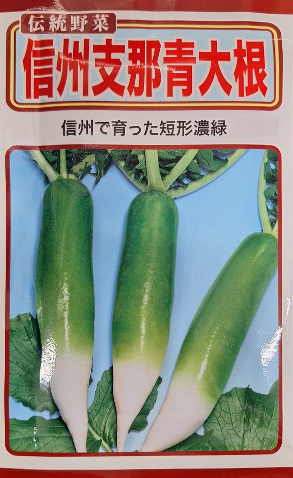 信州支那青大根