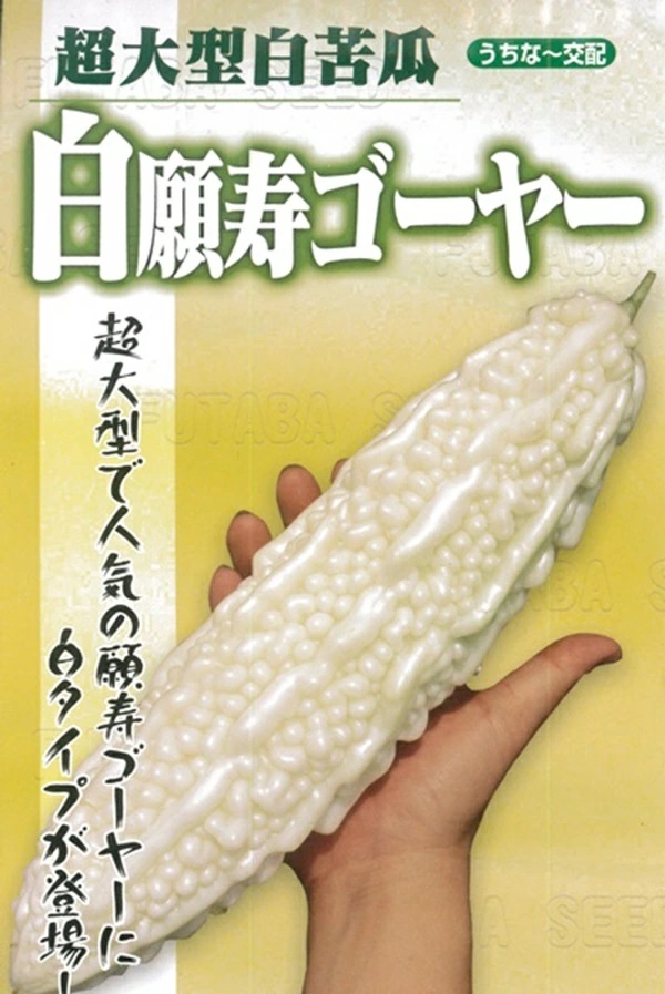 白願寿ゴーヤー