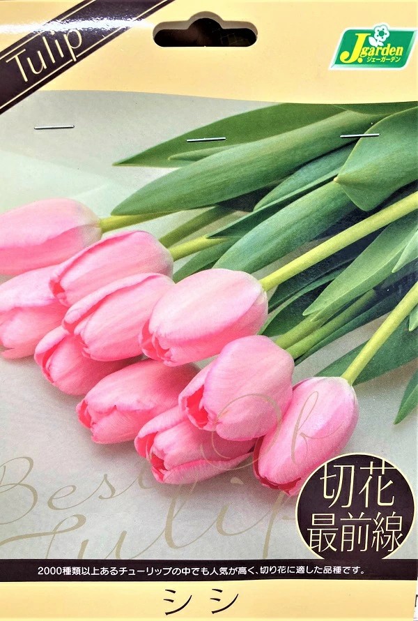 切花最前線シシ