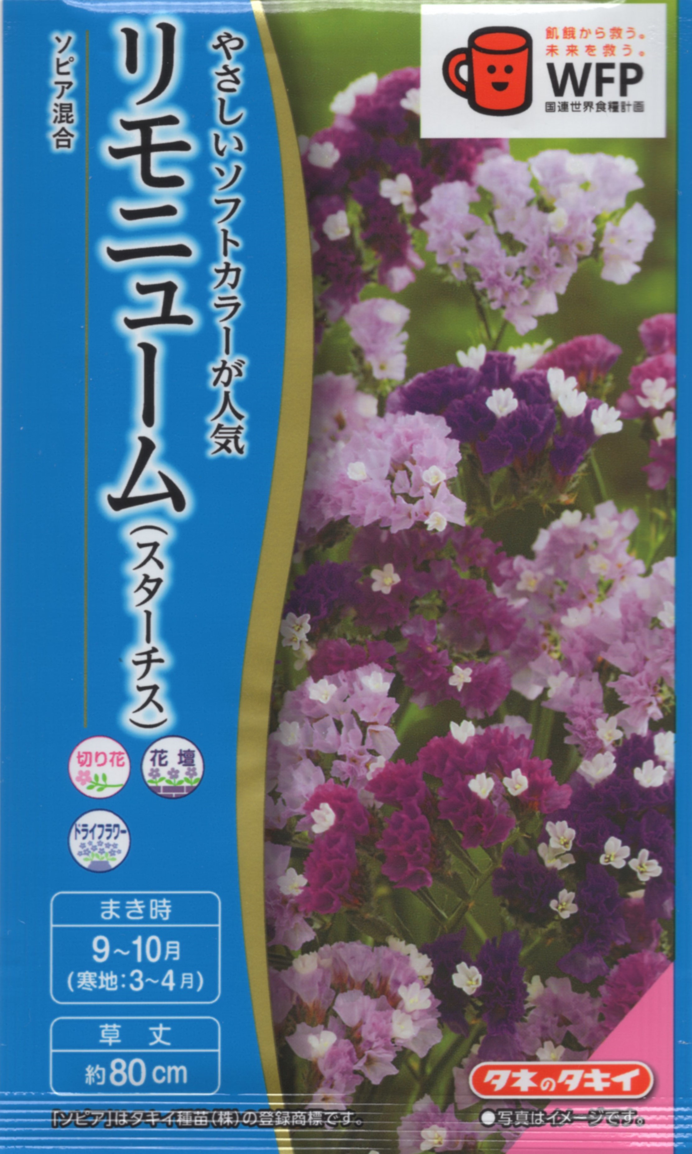 リモニューム（スターチス）ソピア混合
