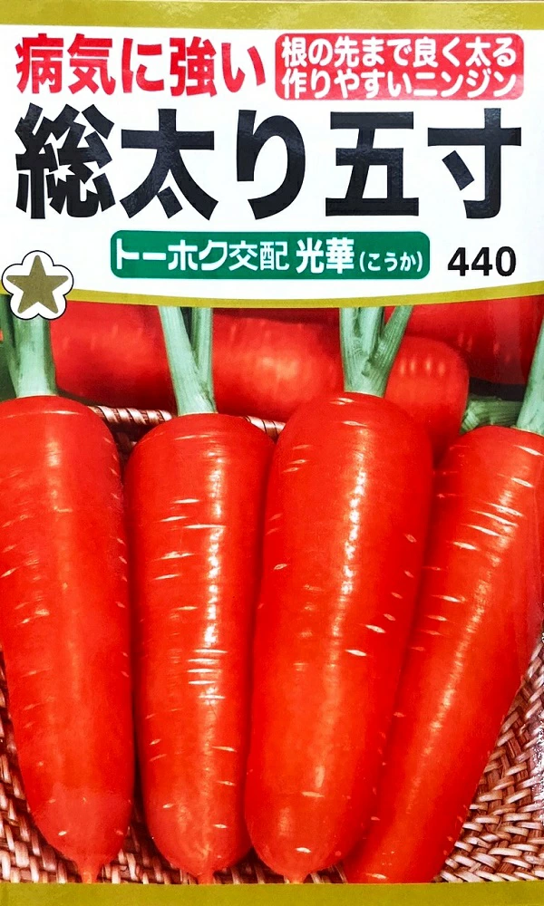 総太り五寸　光華