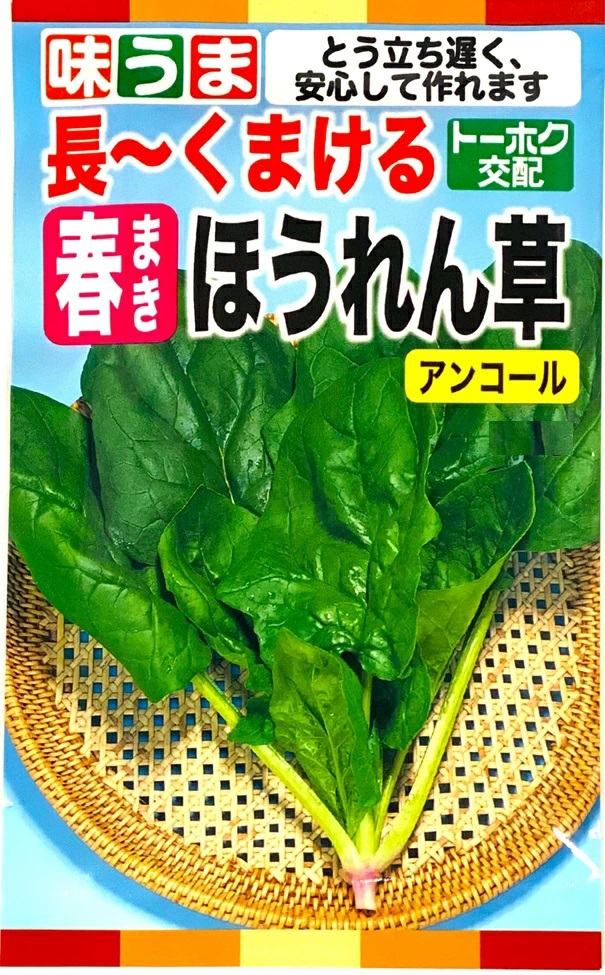 長～くまける 春まきほうれん草 アンコール
