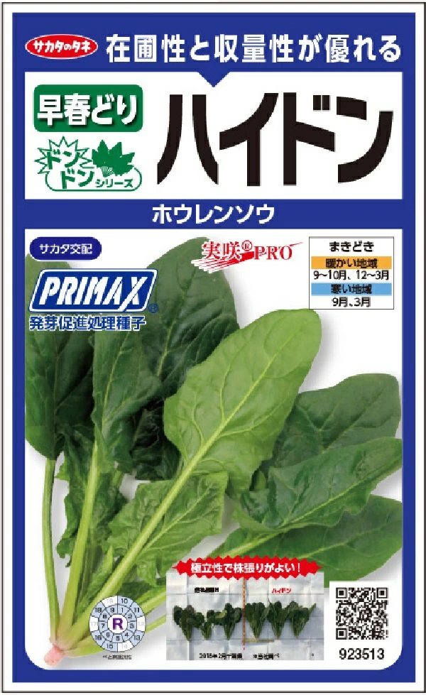 ホウレンソウ　ハイドン