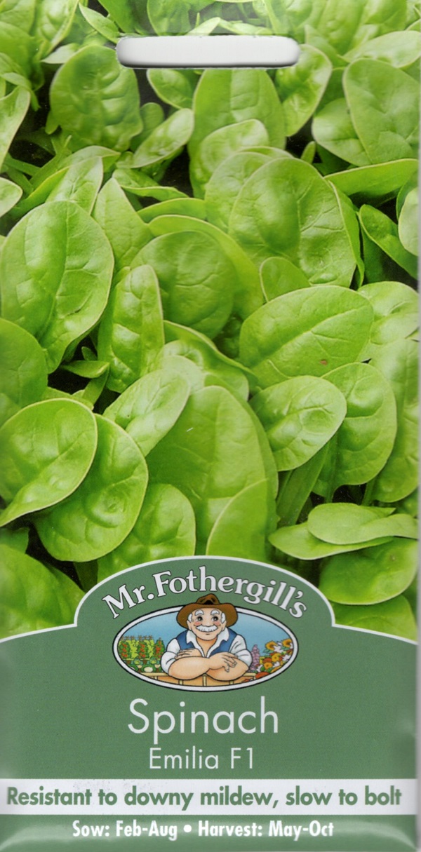 スピナッチ（ほうれん草） エミリア・F1