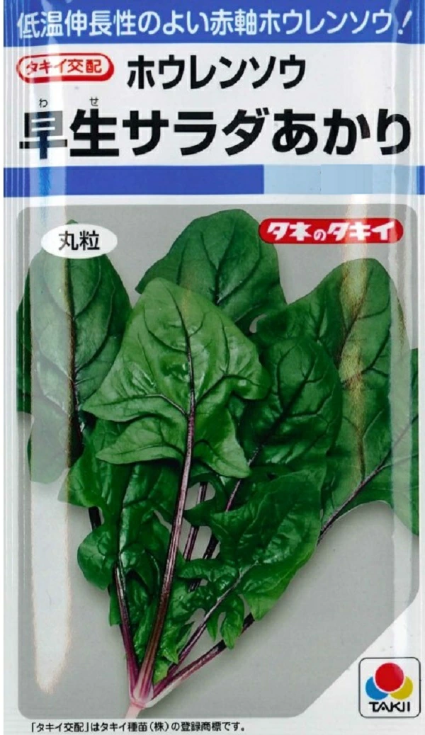 ホウレンソウ 早生サラダあかり