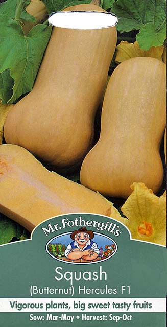 スカッシュ(バターナッツ) ヘルクルス・F1