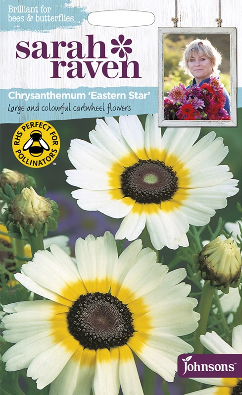 【種子】 Johnsons Seeds Sarah Raven Brilliant for Bees & Butterflies Chrysanthemum Eastern Star