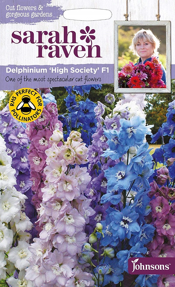 delphinium high siciety