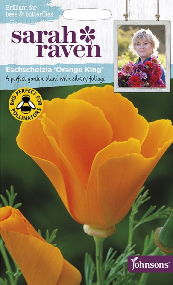 エスコルシア オレンジ・キング