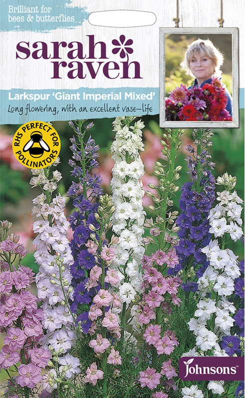 ラークスパー（千鳥草） ジャイアント・インペリアル