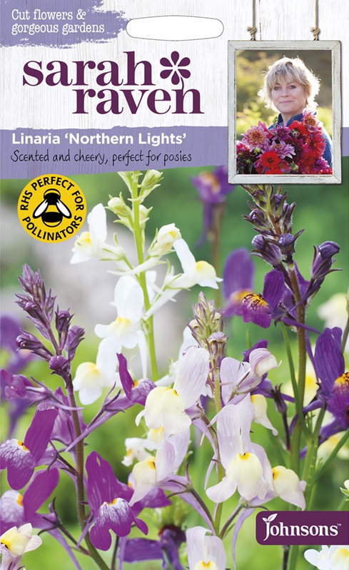 _linaria northern lights