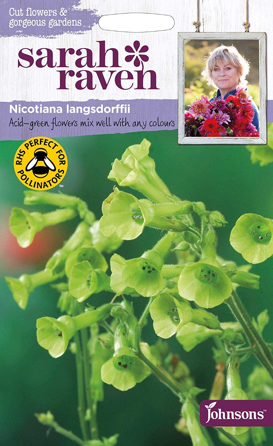 ニコチアナ（ハナタバコ）ラングスドリフ