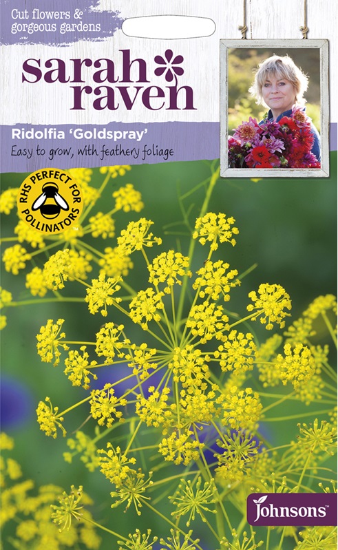 リドルフィア・ゴールドスプレイ