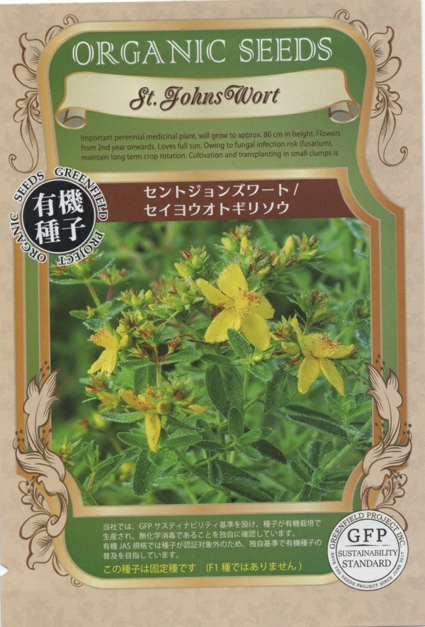 セントジョンズワート/セイヨウオトギリソウ