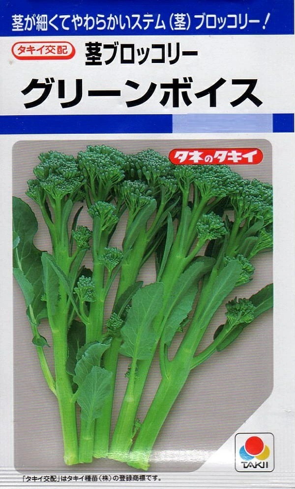 茎ブロッコリー