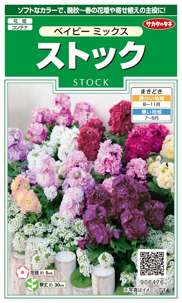 花種子 ストック ベイビーミックス