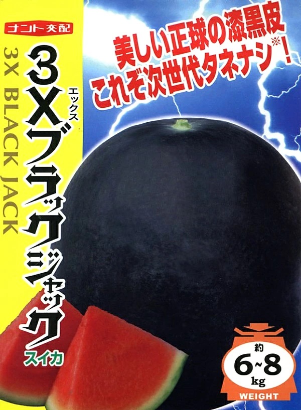 スイカ　3Xブラックジャック