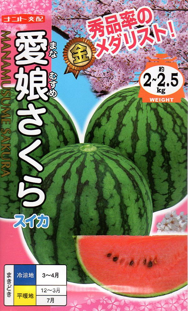 スイカ　愛娘さくら
