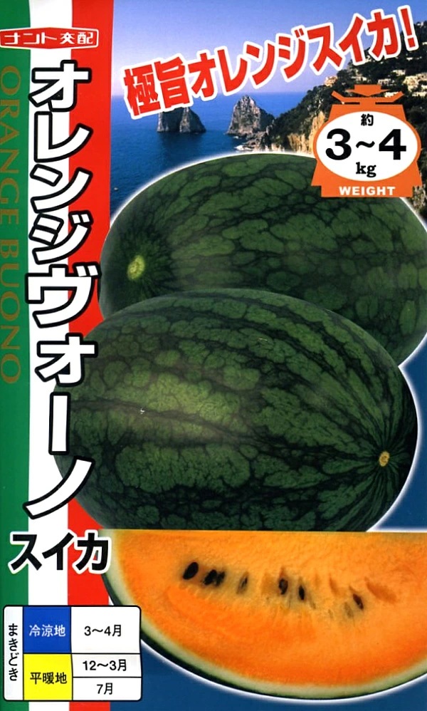 スイカ　オレンジヴォーノ