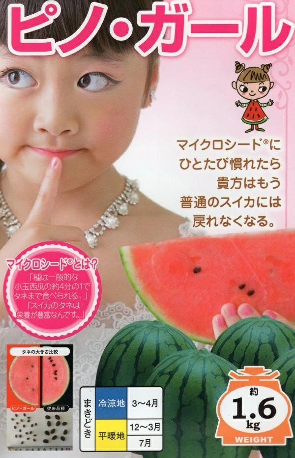 小玉スイカ ピノ・ガール
