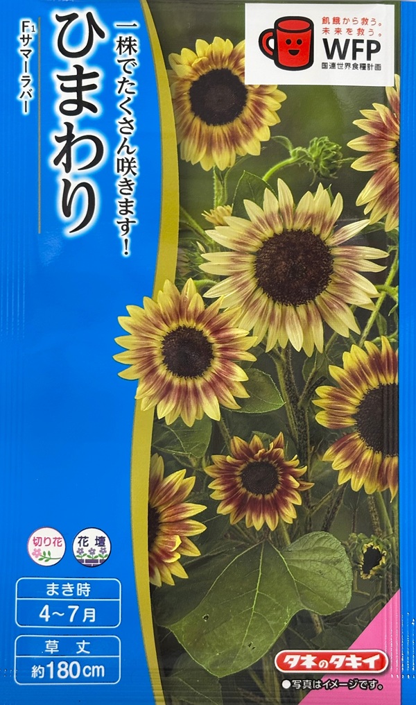 ひまわりサマーラバー