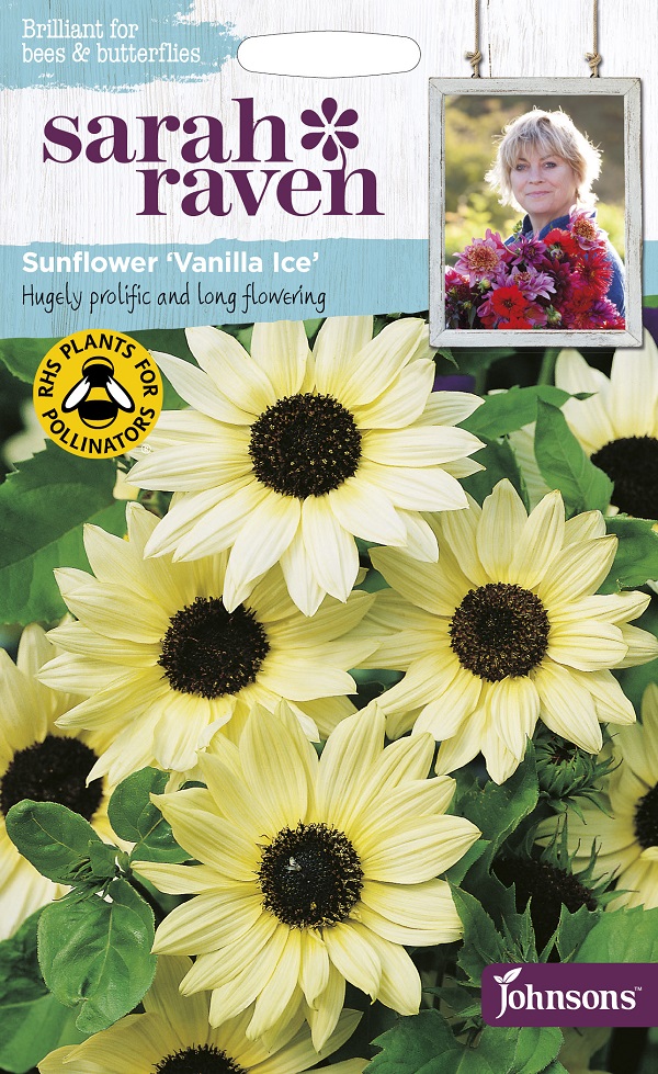 向日葵・バニラアイス