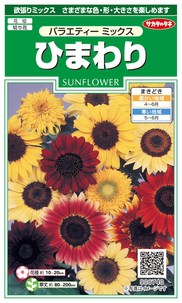 ひまわりバラエティーミックス