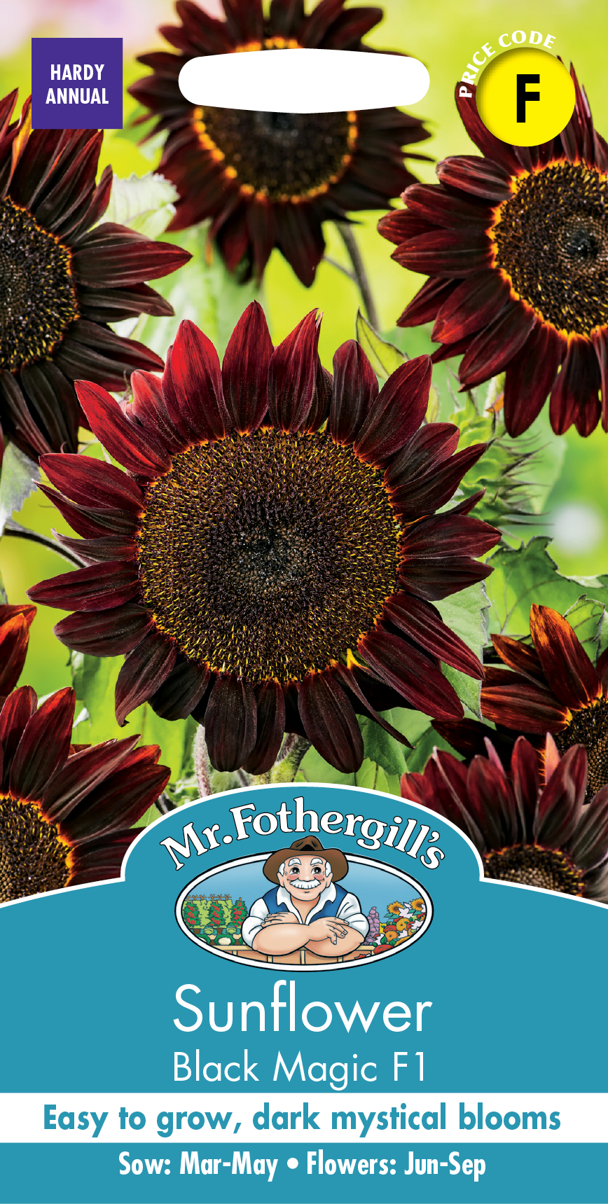 種子】Mr.Fothergill's Seeds Sunflower Black Magic F1 サン