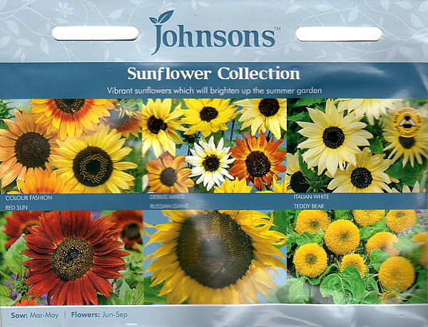 sunflower_collction